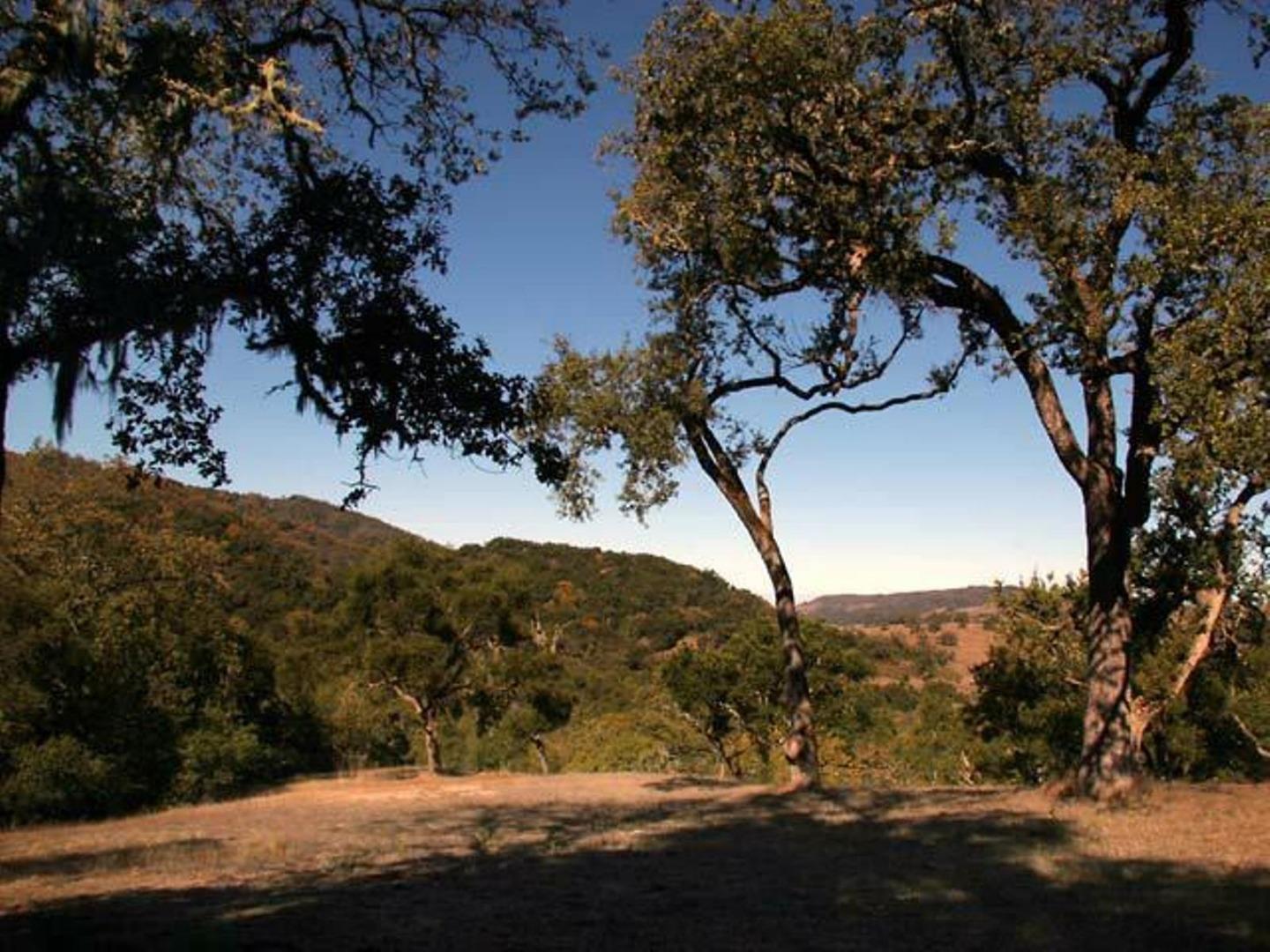 20 Arroyo Sequoia, CARMEL, California 93923, ,Lots And Land,For Sale,Arroyo Sequoia,40961867