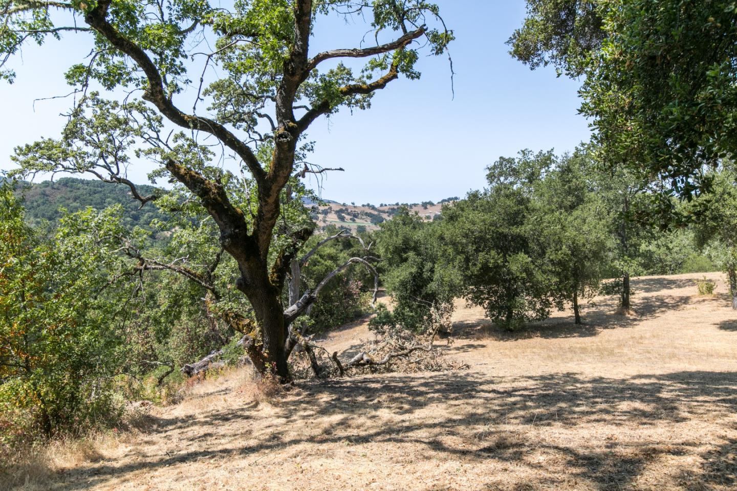 20 Arroyo Sequoia, CARMEL, California 93923, ,Lots And Land,For Sale,Arroyo Sequoia,40961867