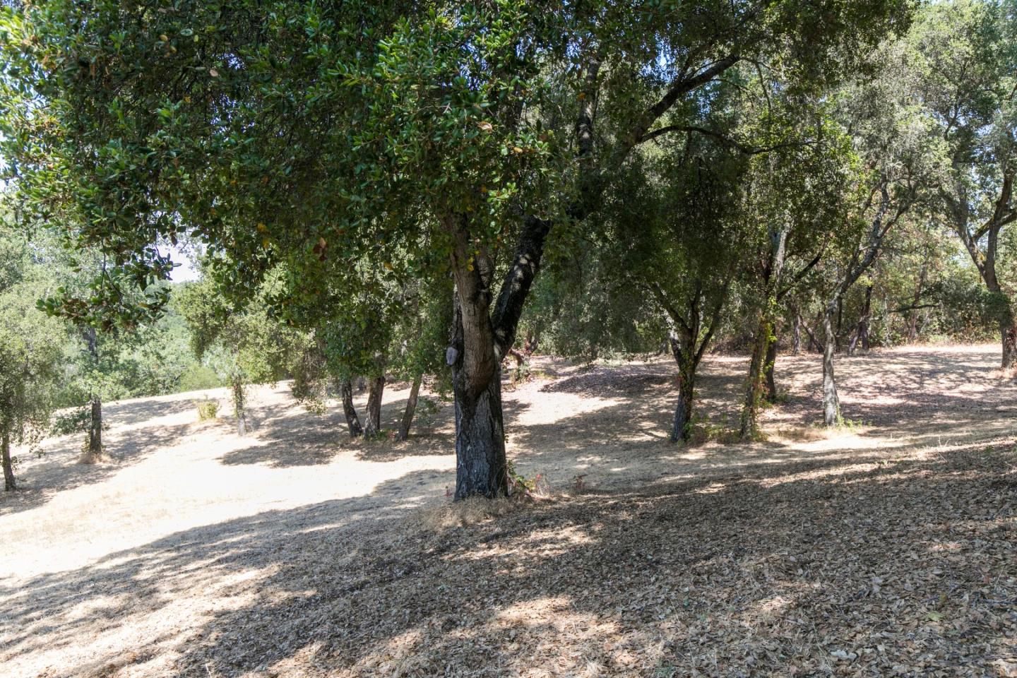 20 Arroyo Sequoia, CARMEL, California 93923, ,Lots And Land,For Sale,Arroyo Sequoia,40961867