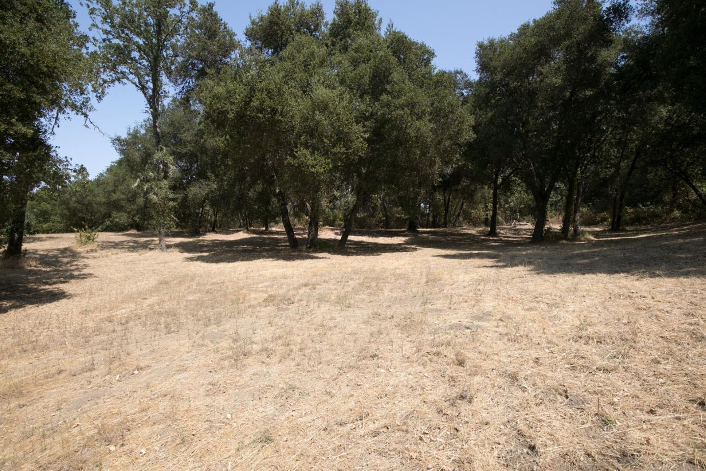 20 Arroyo Sequoia, CARMEL, California 93923, ,Lots And Land,For Sale,Arroyo Sequoia,40961867