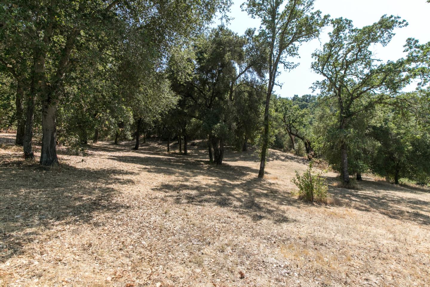 20 Arroyo Sequoia, CARMEL, California 93923, ,Lots And Land,For Sale,Arroyo Sequoia,40961867