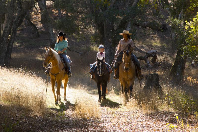 20 Arroyo Sequoia, CARMEL, California 93923, ,Lots And Land,For Sale,Arroyo Sequoia,40961867