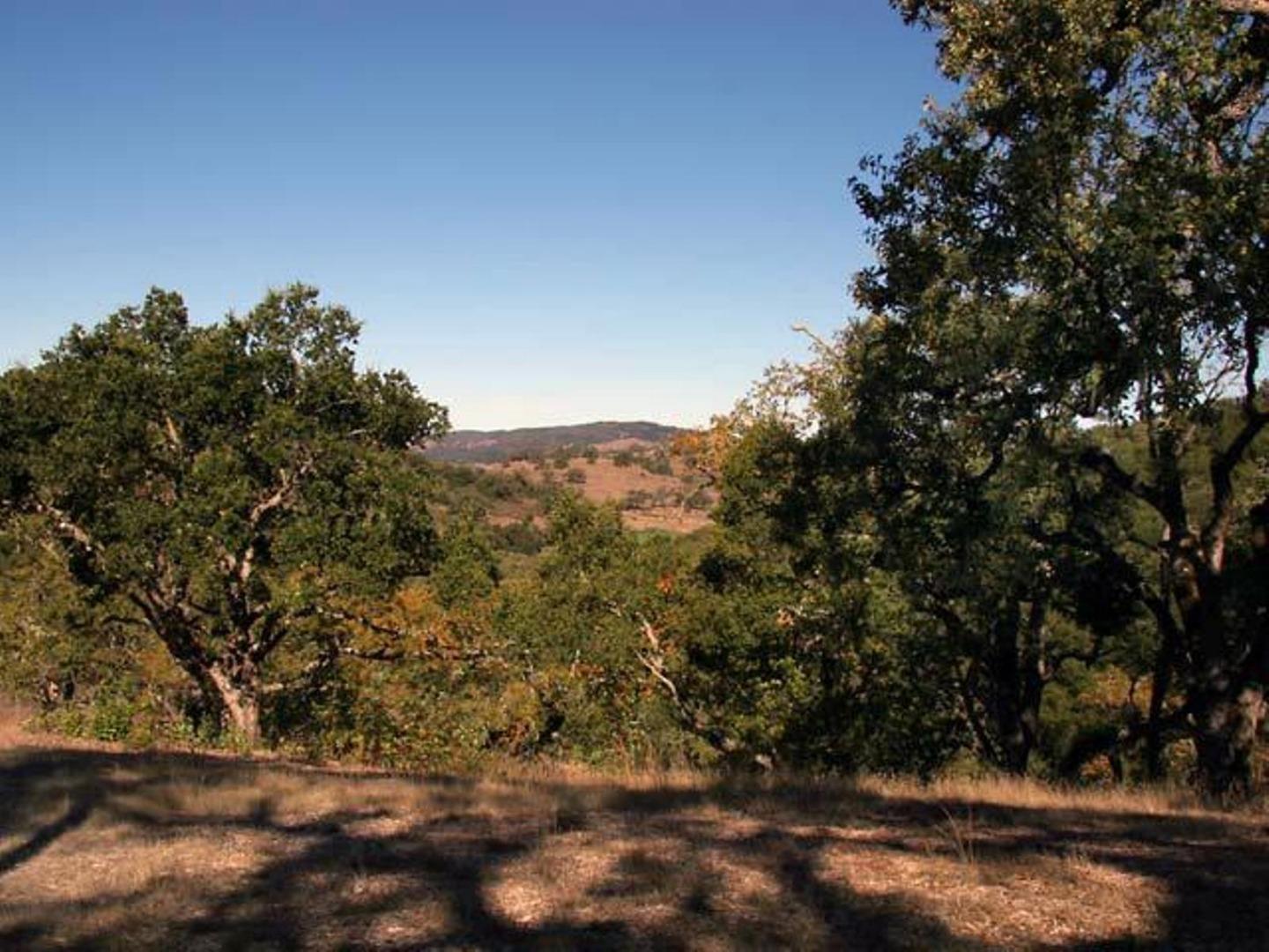 20 Arroyo Sequoia, CARMEL, California 93923, ,Lots And Land,For Sale,Arroyo Sequoia,40961867