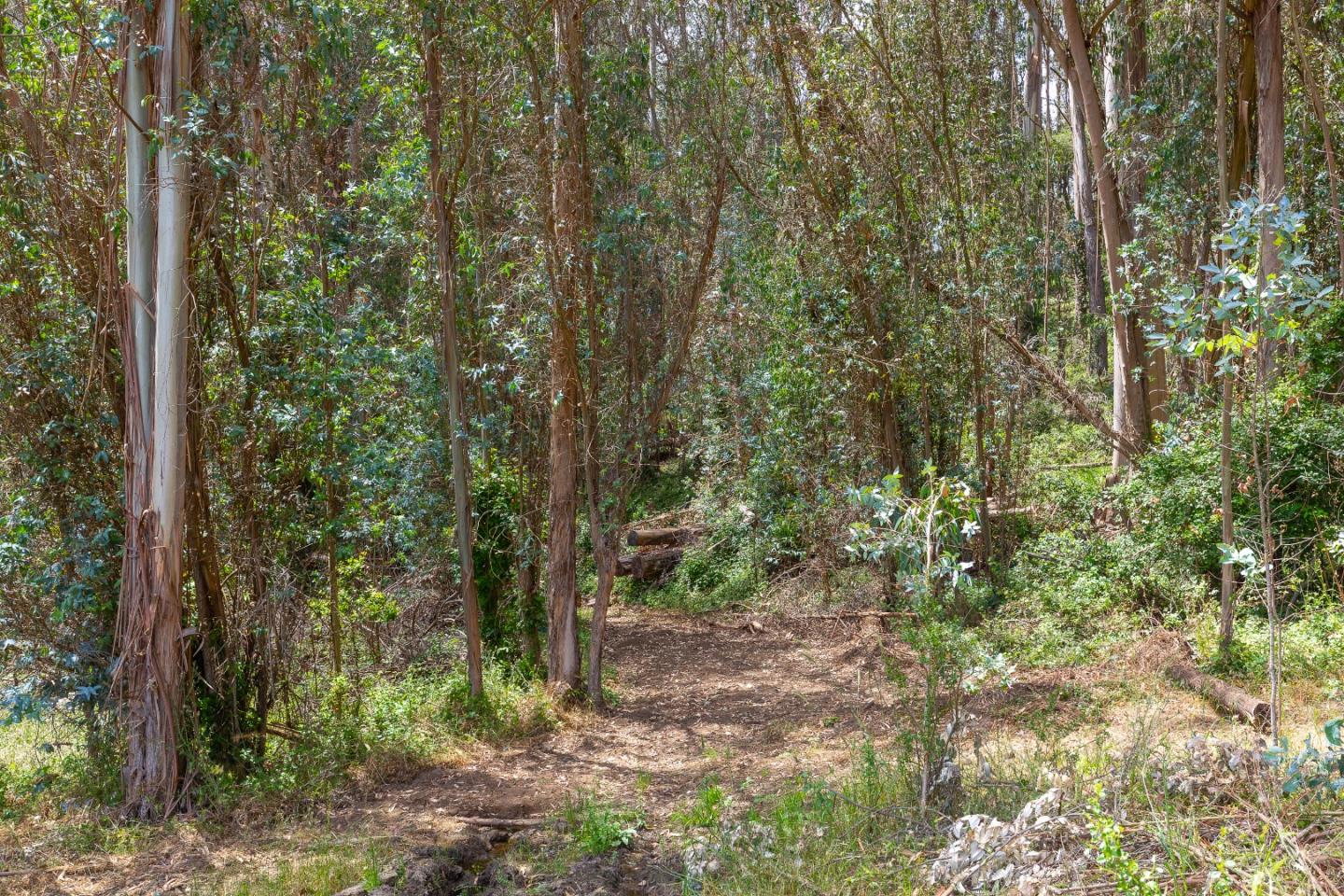 0 Senda Ladera, CORRALITOS (WATSONVILLE), California 95076, ,Lots And Land,For Sale,Senda Ladera,40962404