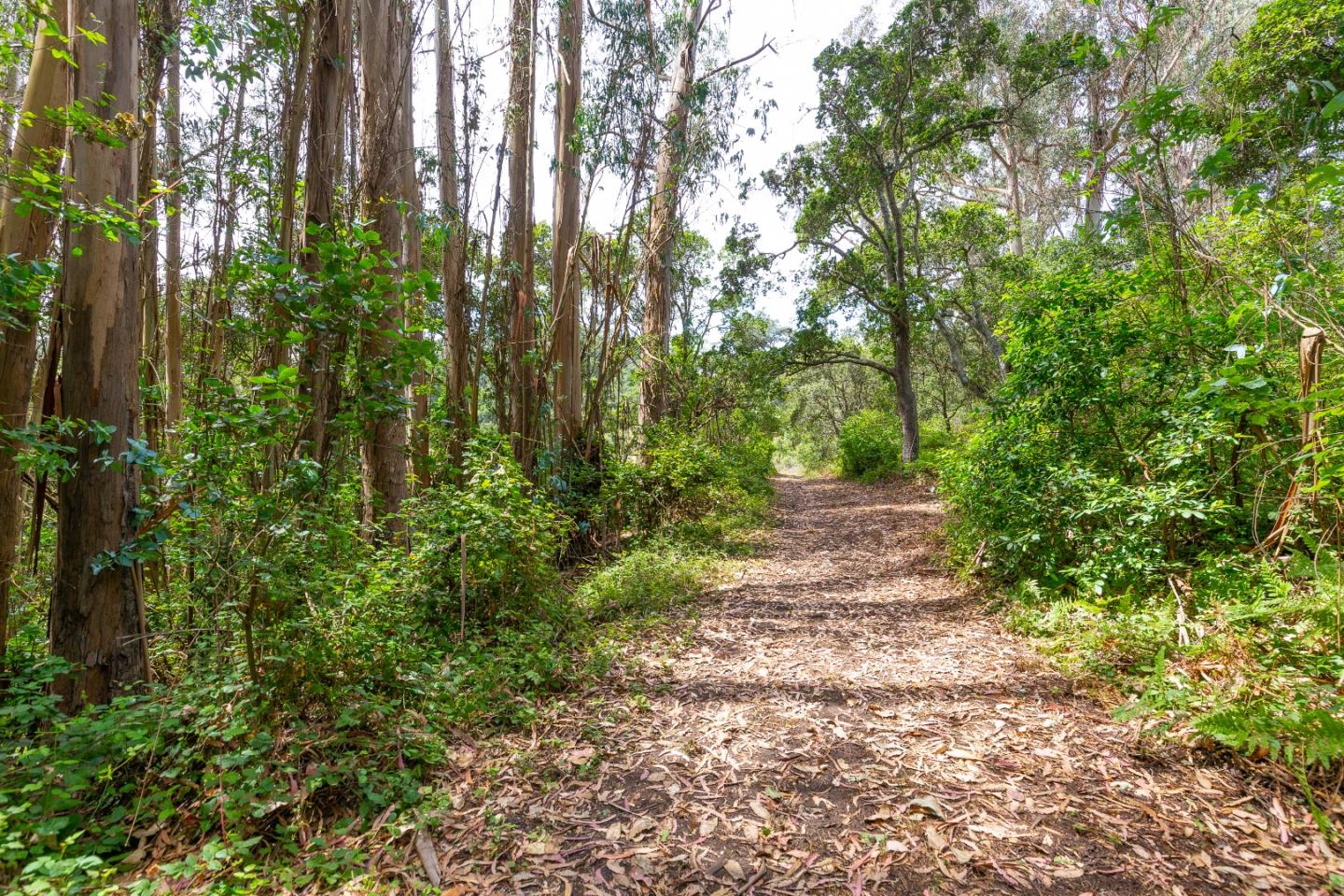 0 Senda Ladera, CORRALITOS (WATSONVILLE), California 95076, ,Lots And Land,For Sale,Senda Ladera,40962404