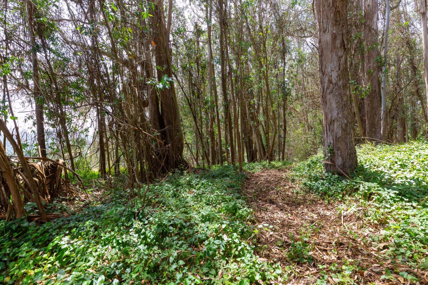 0 Senda Ladera, CORRALITOS (WATSONVILLE), California 95076, ,Lots And Land,For Sale,Senda Ladera,40962404