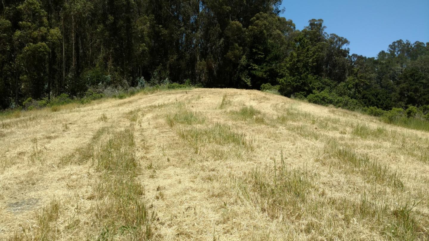 0 Senda Ladera, CORRALITOS (WATSONVILLE), California 95076, ,Lots And Land,For Sale,Senda Ladera,40962404