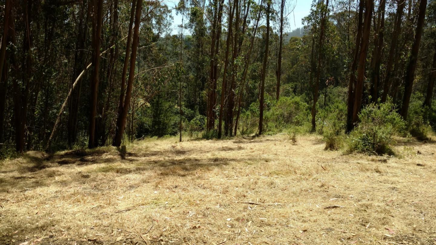 0 Senda Ladera, CORRALITOS (WATSONVILLE), California 95076, ,Lots And Land,For Sale,Senda Ladera,40962404