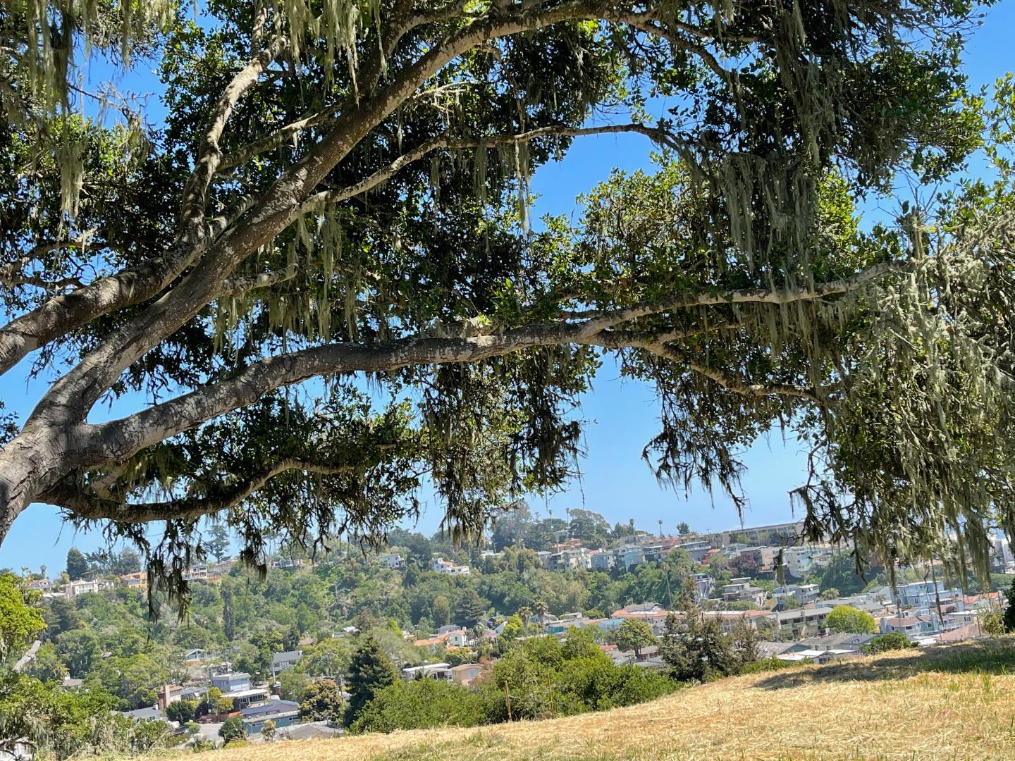02 Sea Terrace, APTOS, California 95003, ,Lots And Land,For Sale,Sea Terrace,40963955