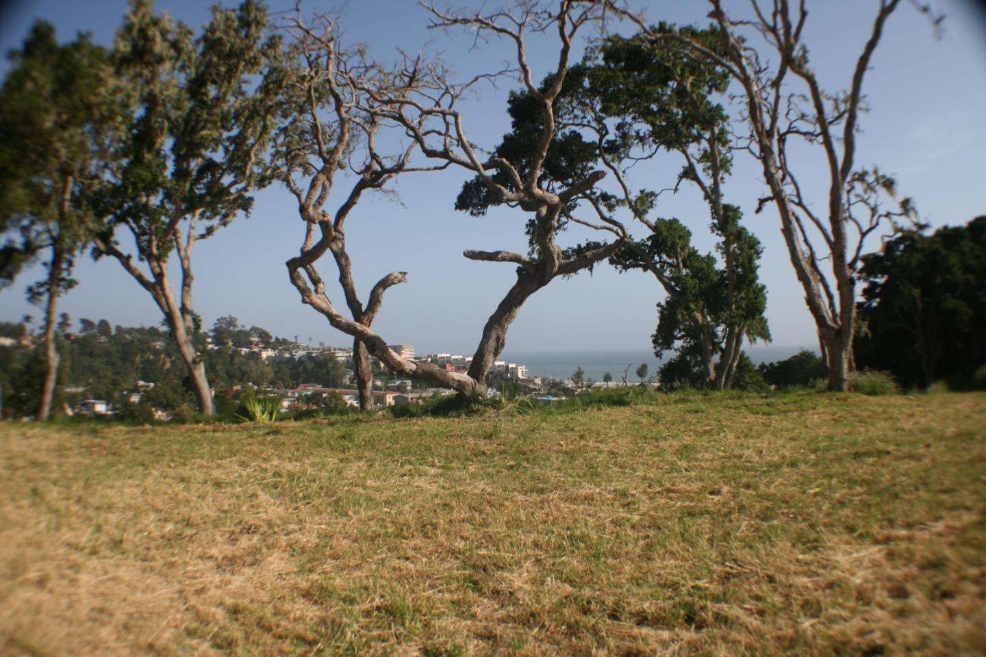 03 Sea Terrace Way, APTOS, California 95003, ,Lots And Land,For Sale,Sea Terrace Way,40962250