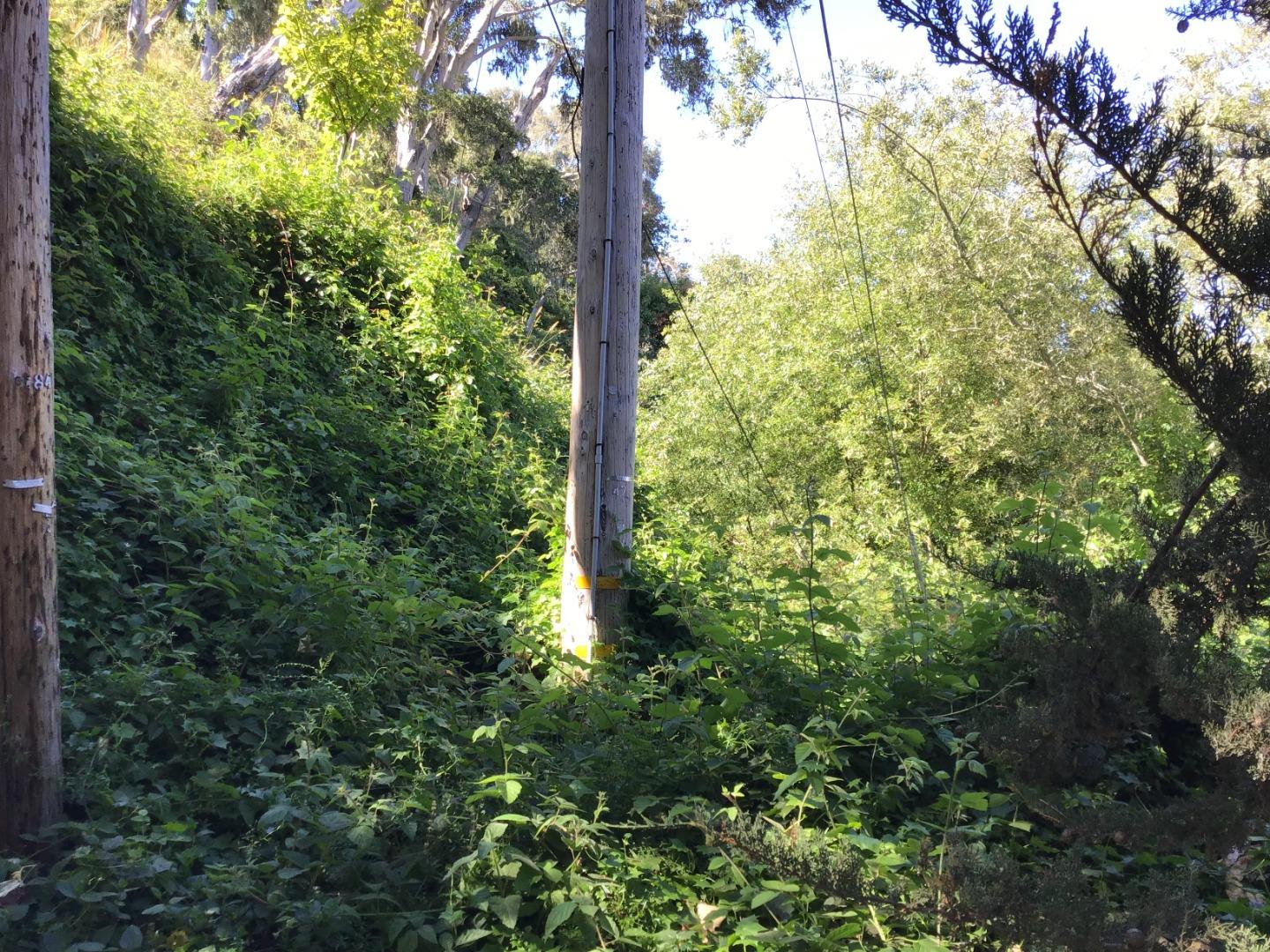 0 Glen, APTOS, California 95003, ,Lots And Land,For Sale,Glen,40962303