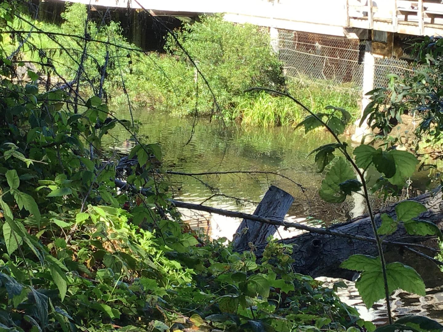 0 Glen, APTOS, California 95003, ,Lots And Land,For Sale,Glen,40962303