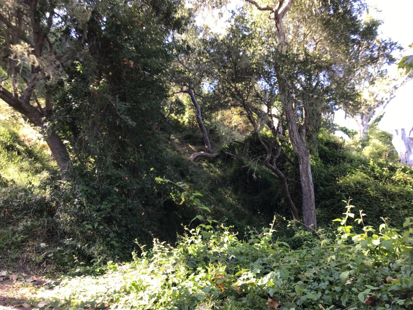 0 Glen, APTOS, California 95003, ,Lots And Land,For Sale,Glen,40962303