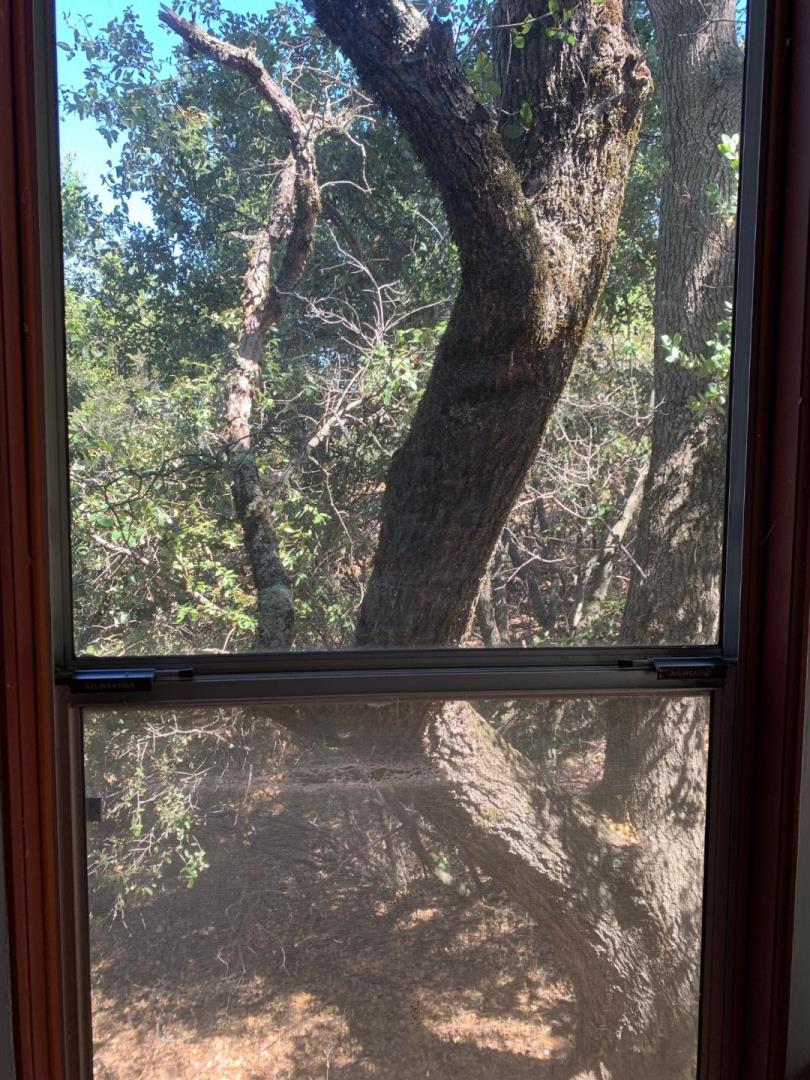 17301 Kit Lane, JACKSON, California 95642, ,Lots And Land,For Sale,Kit Lane,40967389