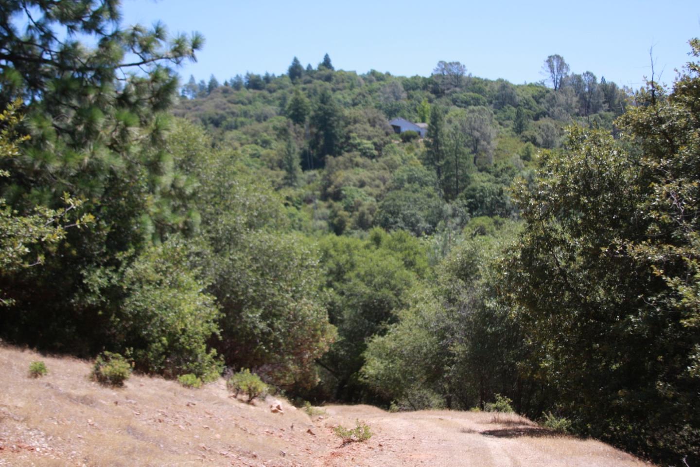 17301 Kit Lane, JACKSON, California 95642, ,Lots And Land,For Sale,Kit Lane,40967389