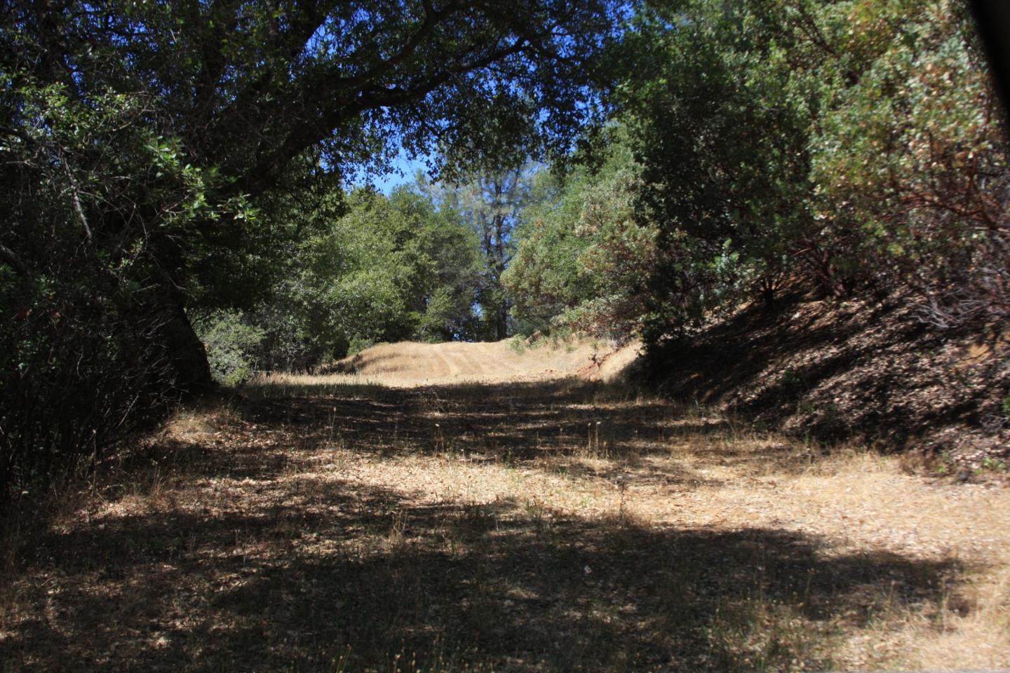 17301 Kit Lane, JACKSON, California 95642, ,Lots And Land,For Sale,Kit Lane,40967389