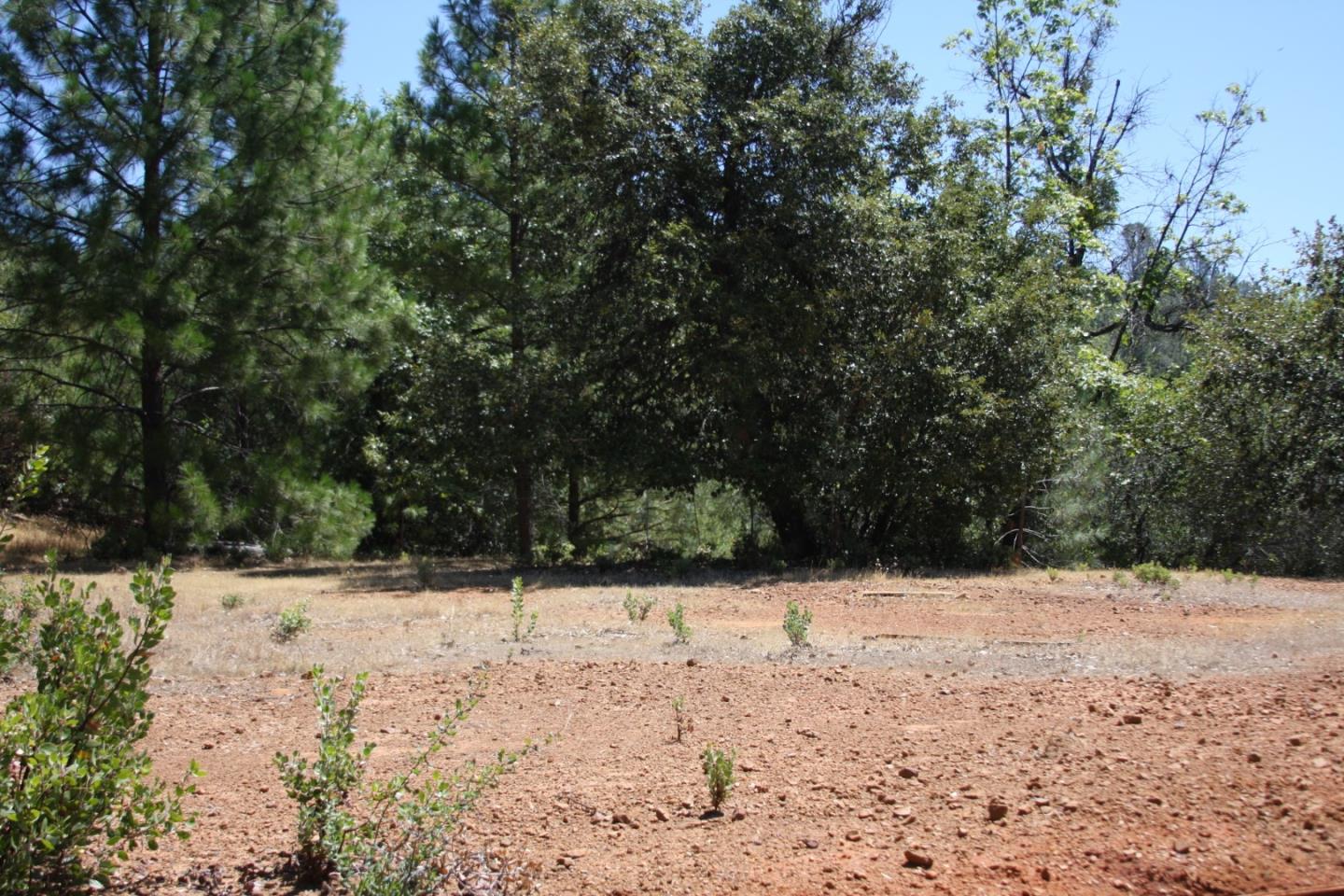 17301 Kit Lane, JACKSON, California 95642, ,Lots And Land,For Sale,Kit Lane,40967389