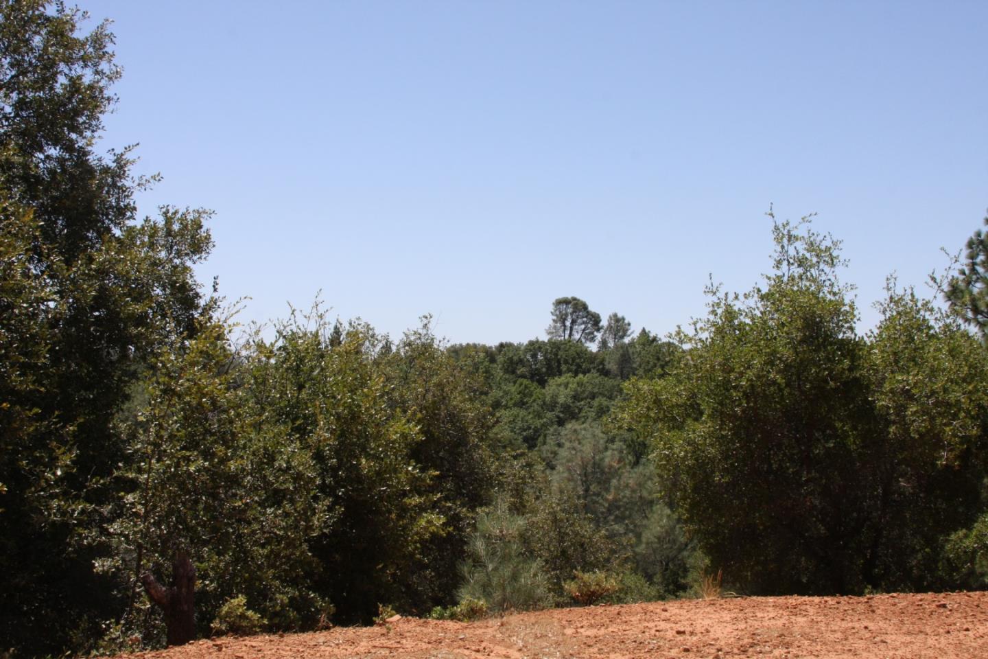 17301 Kit Lane, JACKSON, California 95642, ,Lots And Land,For Sale,Kit Lane,40967389