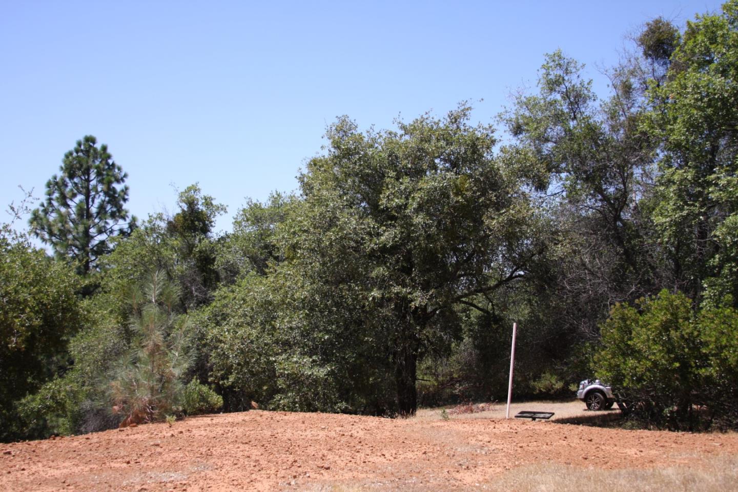 17301 Kit Lane, JACKSON, California 95642, ,Lots And Land,For Sale,Kit Lane,40967389