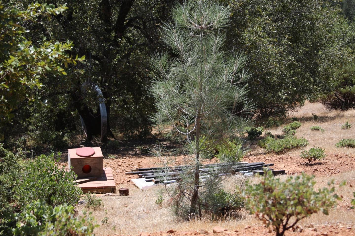 17301 Kit Lane, JACKSON, California 95642, ,Lots And Land,For Sale,Kit Lane,40967389