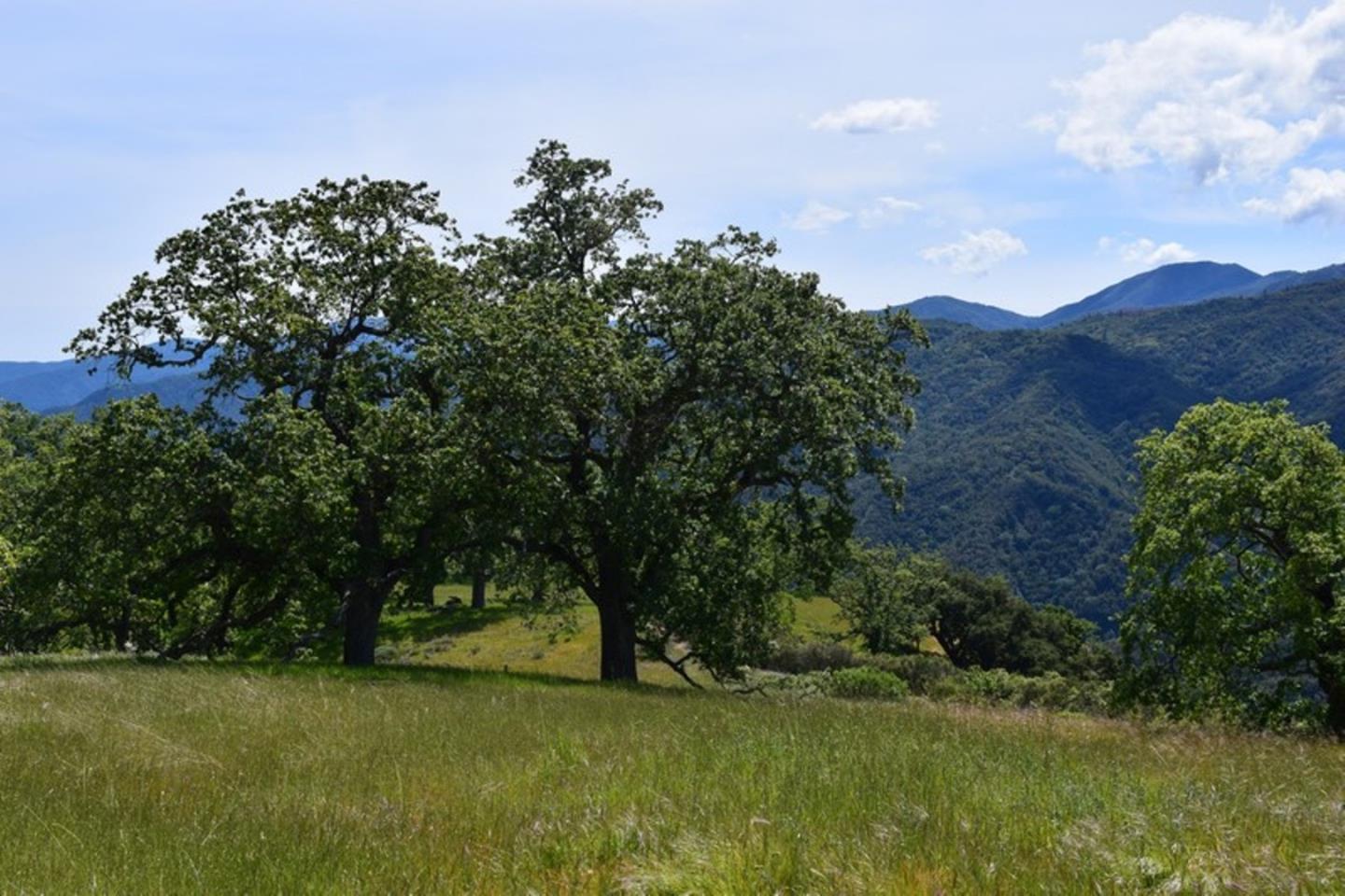 13 Long Ridge Trail, CARMEL, California 93923, ,Lots And Land,For Sale,Long Ridge Trail,40963599