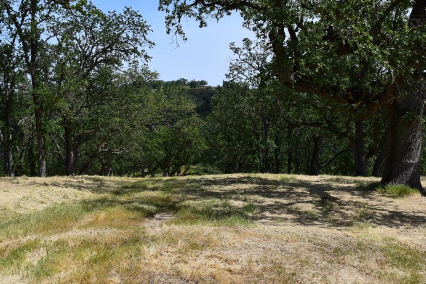13 Long Ridge Trail, CARMEL, California 93923, ,Lots And Land,For Sale,Long Ridge Trail,40963599