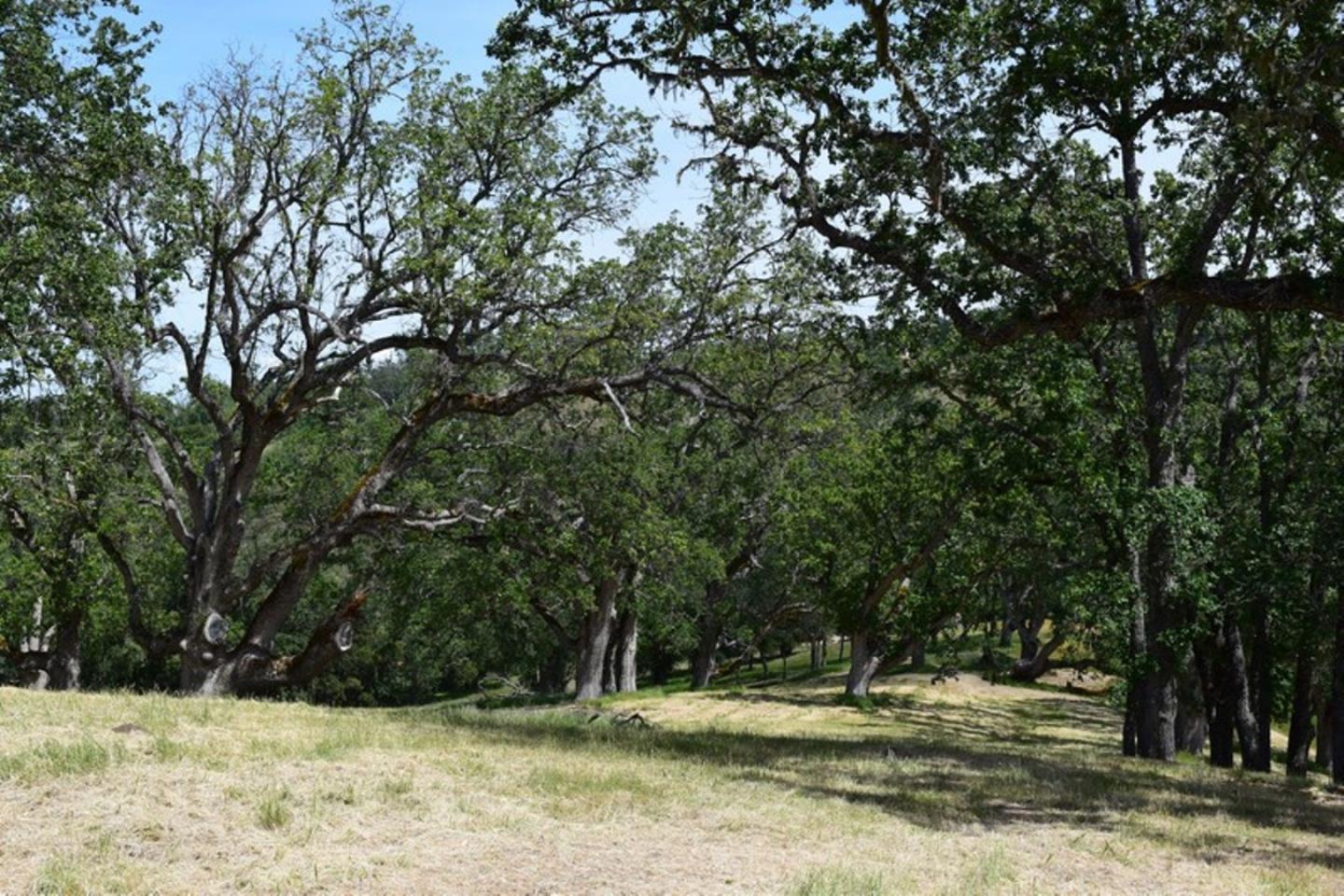 13 Long Ridge Trail, CARMEL, California 93923, ,Lots And Land,For Sale,Long Ridge Trail,40963599