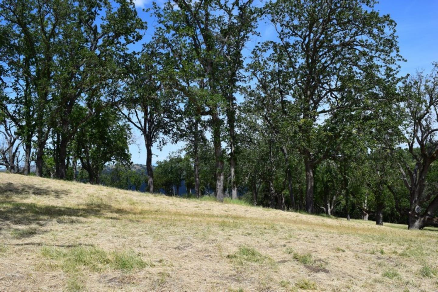 13 Long Ridge Trail, CARMEL, California 93923, ,Lots And Land,For Sale,Long Ridge Trail,40963599