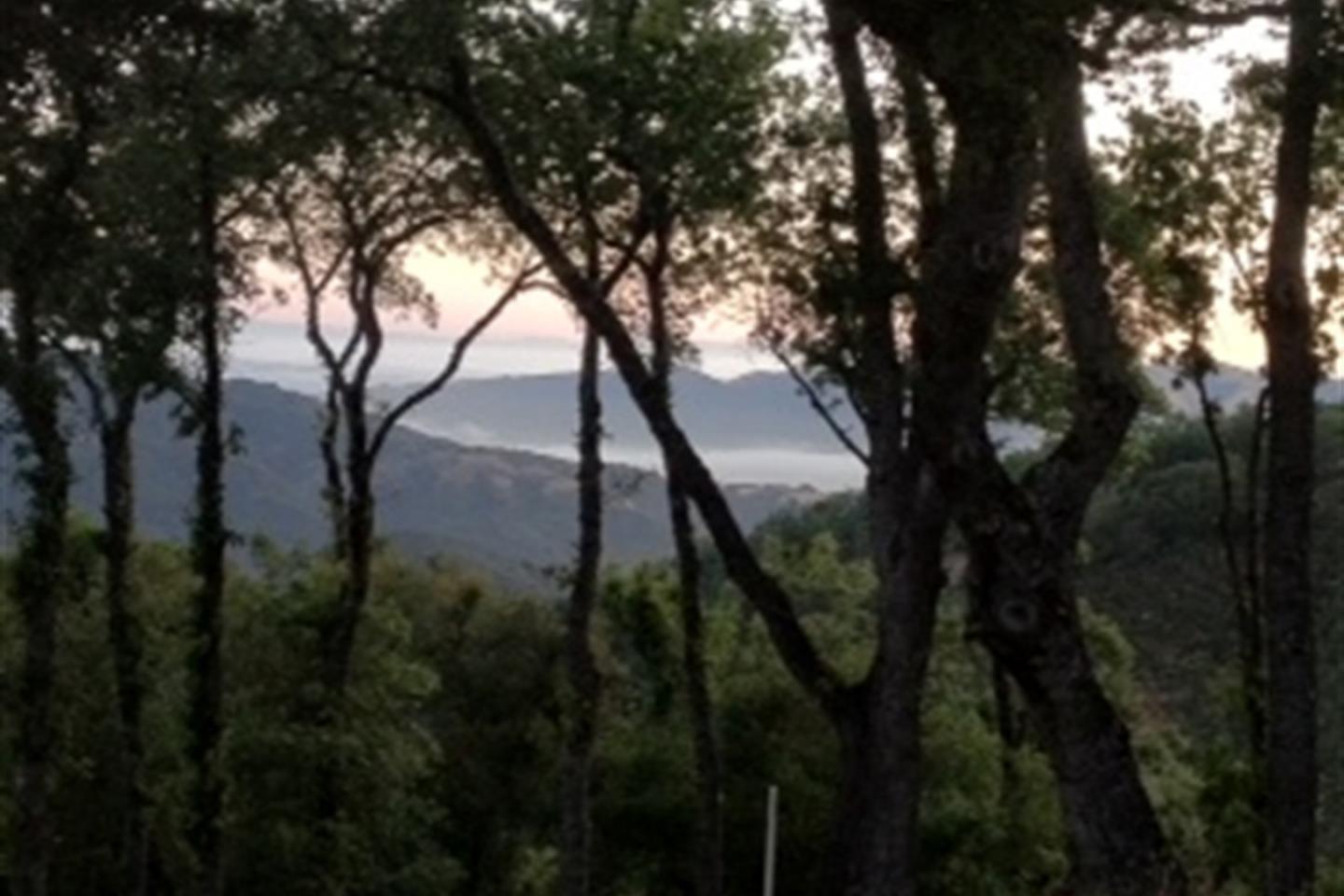 13 Long Ridge Trail, CARMEL, California 93923, ,Lots And Land,For Sale,Long Ridge Trail,40963599