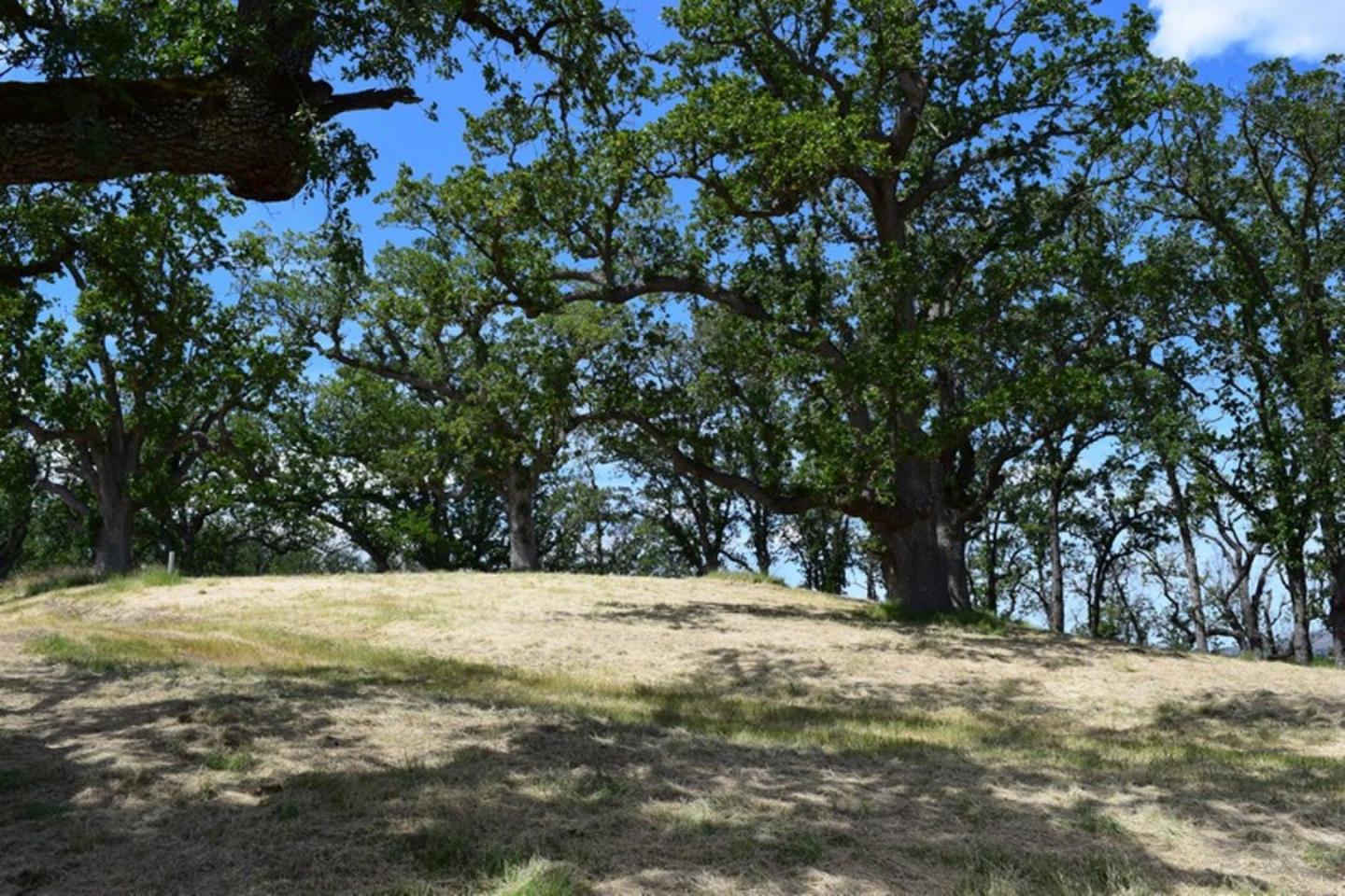 13 Long Ridge Trail, CARMEL, California 93923, ,Lots And Land,For Sale,Long Ridge Trail,40963599