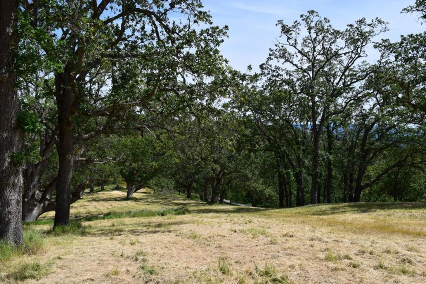 13 Long Ridge Trail, CARMEL, California 93923, ,Lots And Land,For Sale,Long Ridge Trail,40963599