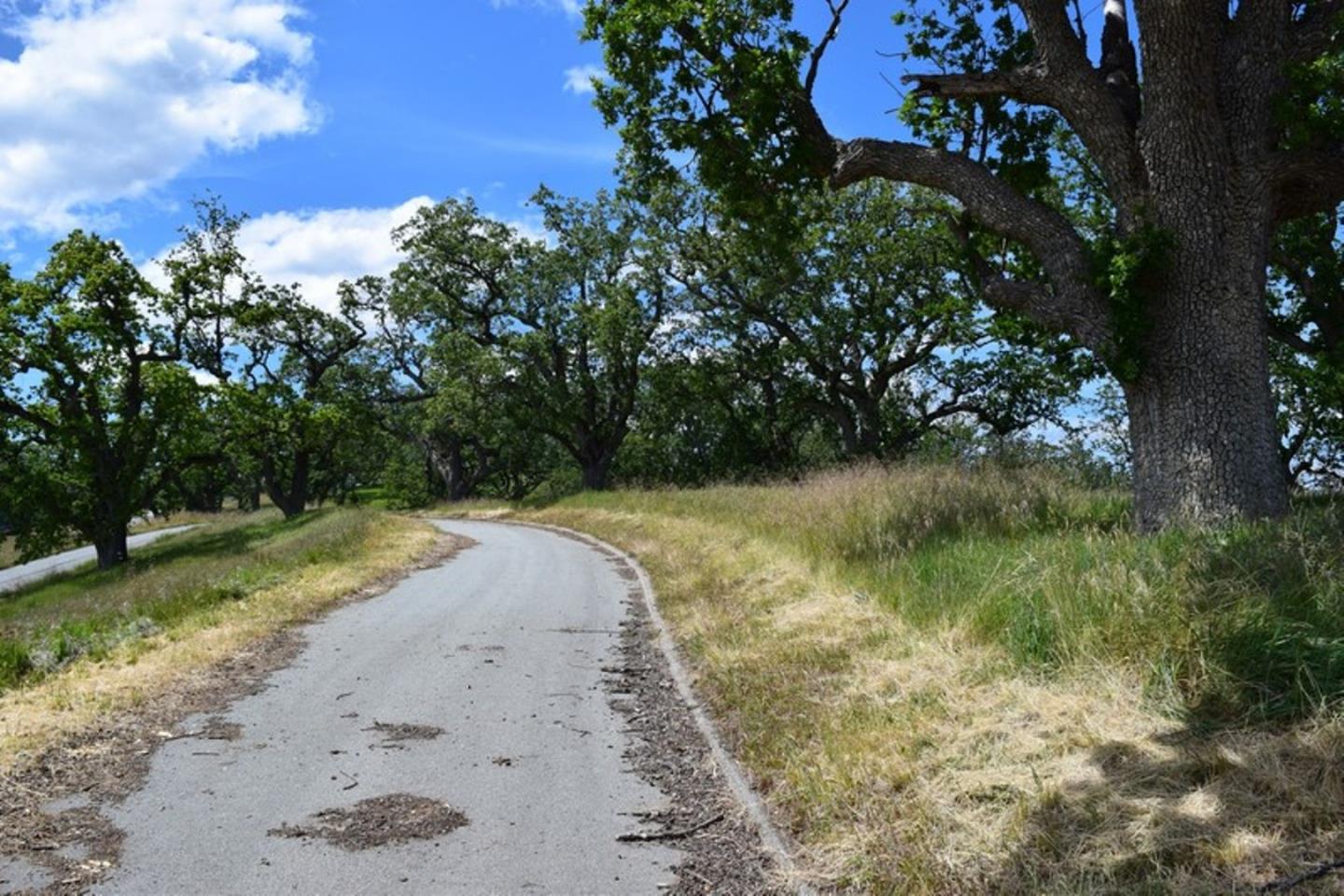 13 Long Ridge Trail, CARMEL, California 93923, ,Lots And Land,For Sale,Long Ridge Trail,40963599