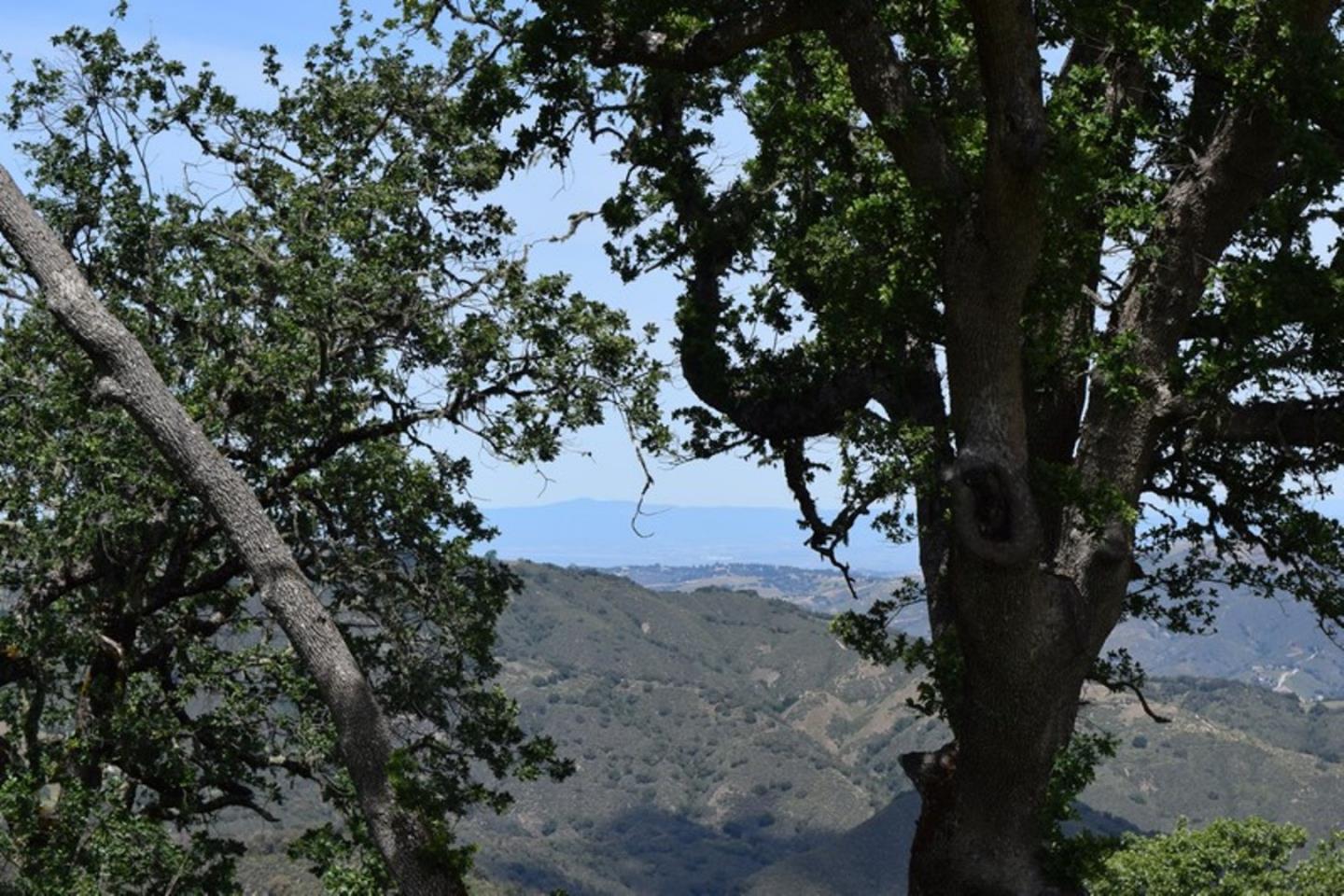 13 Long Ridge Trail, CARMEL, California 93923, ,Lots And Land,For Sale,Long Ridge Trail,40963599