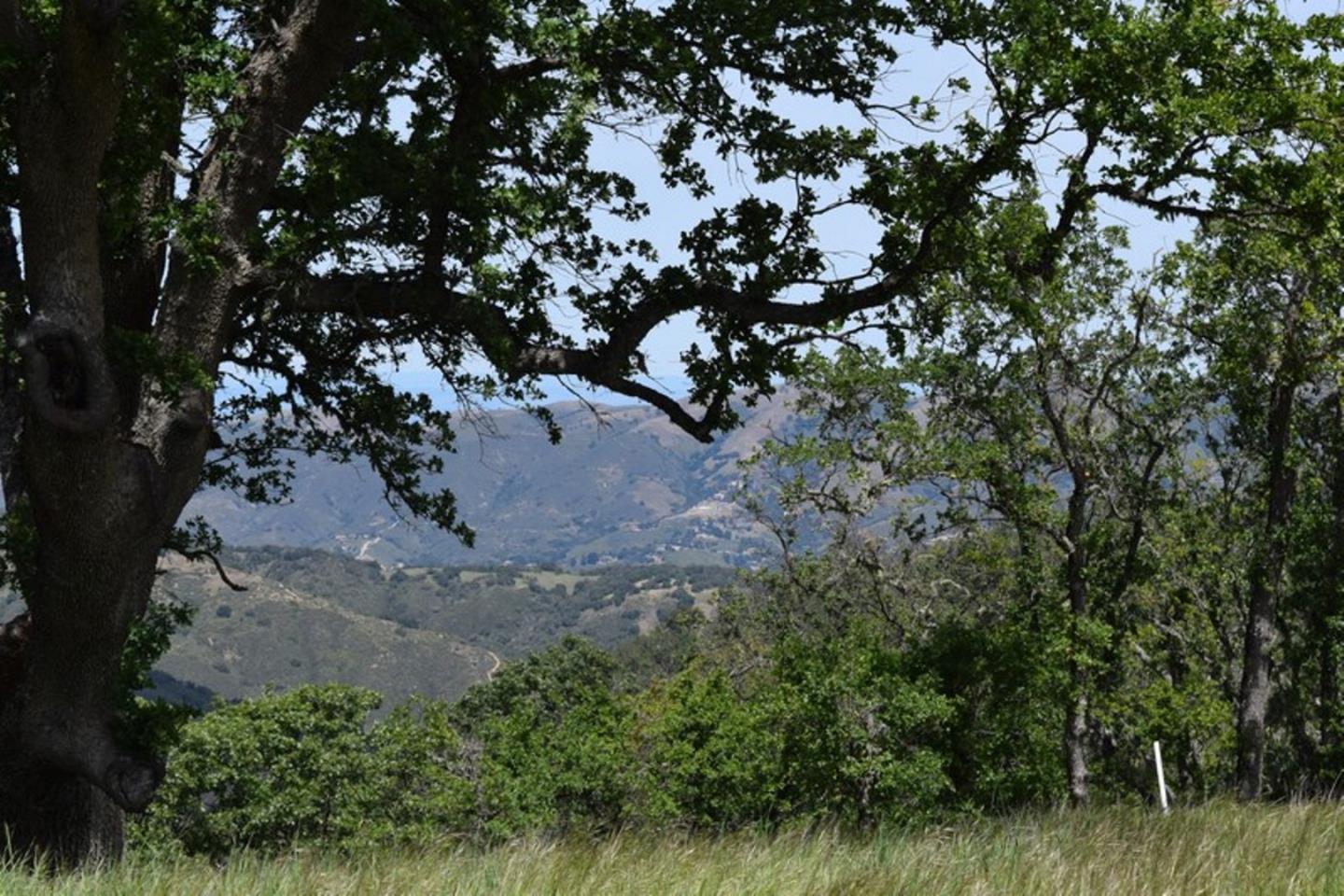 13 Long Ridge Trail, CARMEL, California 93923, ,Lots And Land,For Sale,Long Ridge Trail,40963599