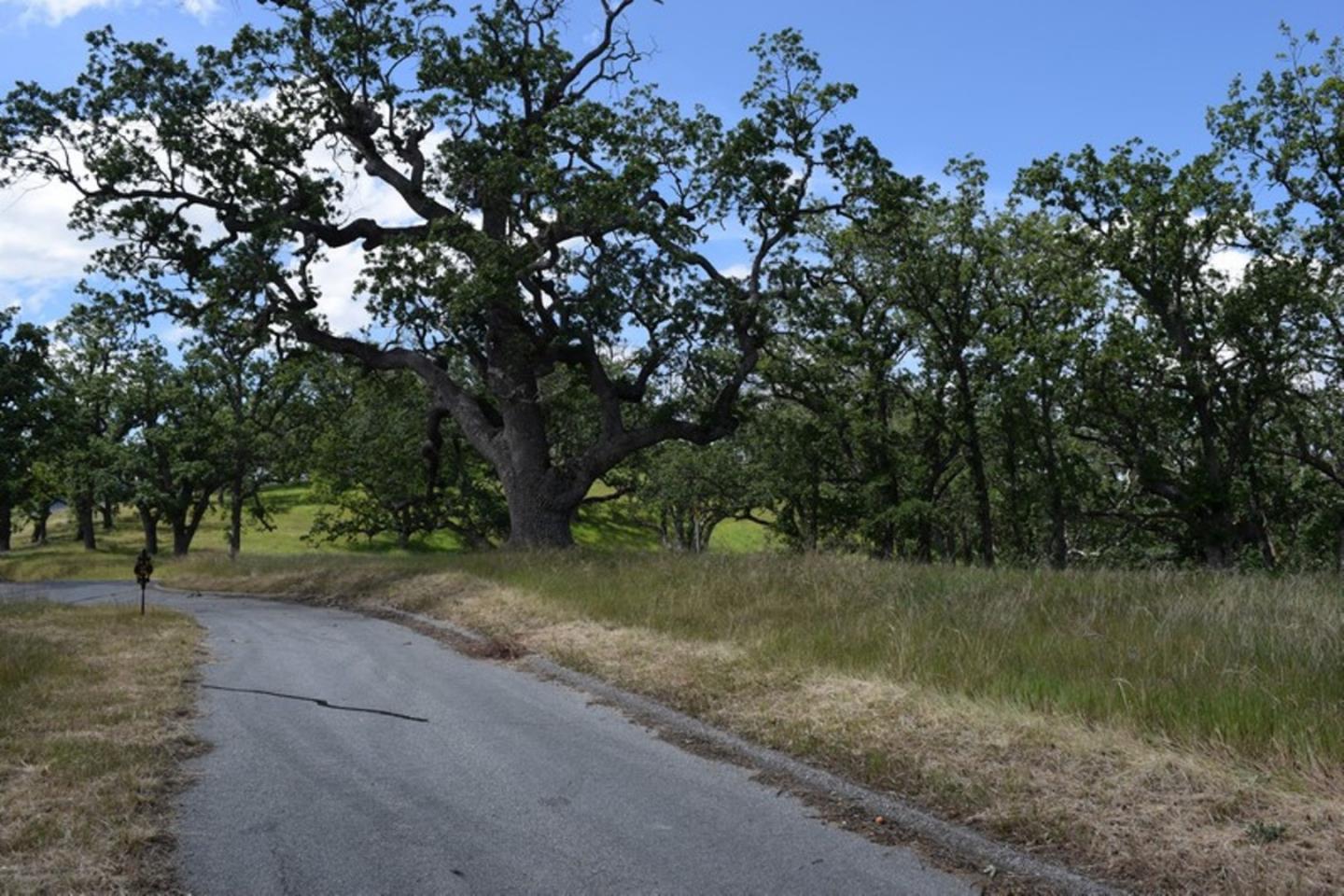 13 Long Ridge Trail, CARMEL, California 93923, ,Lots And Land,For Sale,Long Ridge Trail,40963599