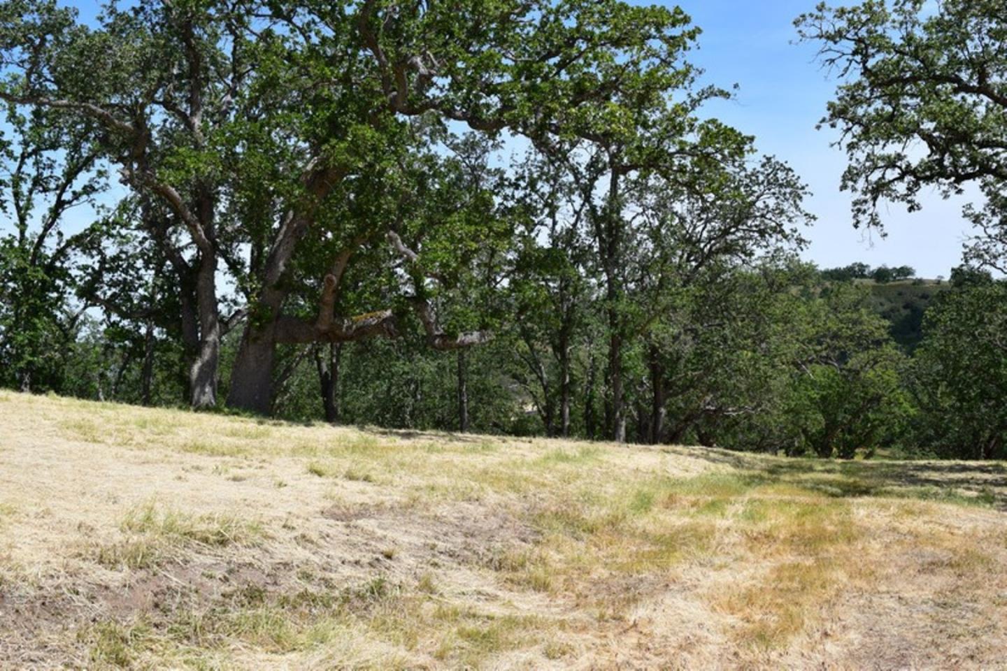 13 Long Ridge Trail, CARMEL, California 93923, ,Lots And Land,For Sale,Long Ridge Trail,40963599