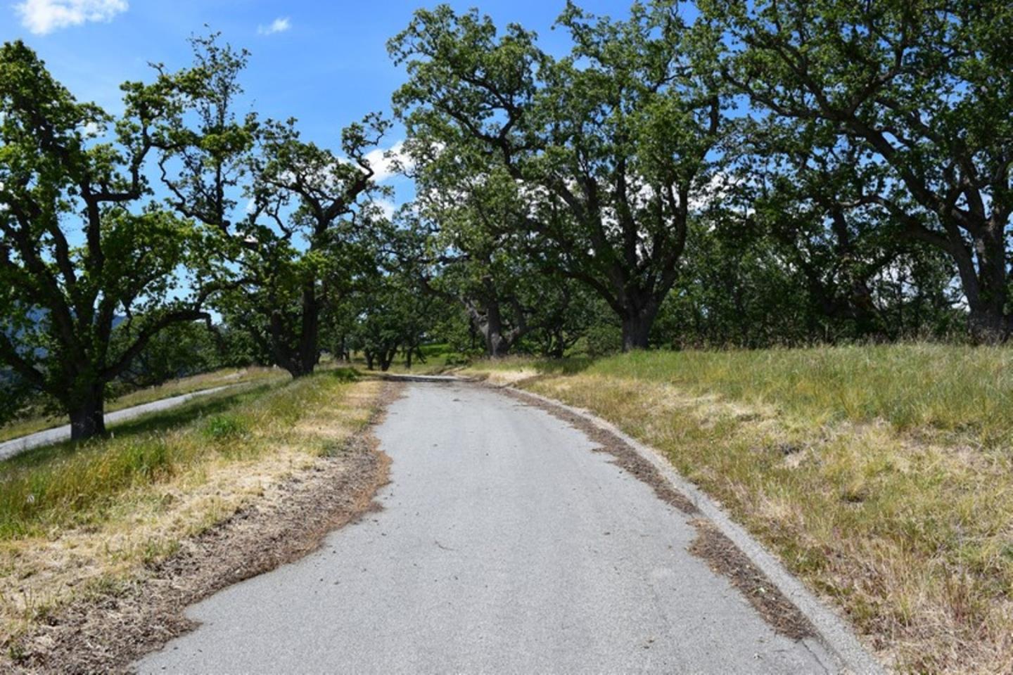 13 Long Ridge Trail, CARMEL, California 93923, ,Lots And Land,For Sale,Long Ridge Trail,40963599