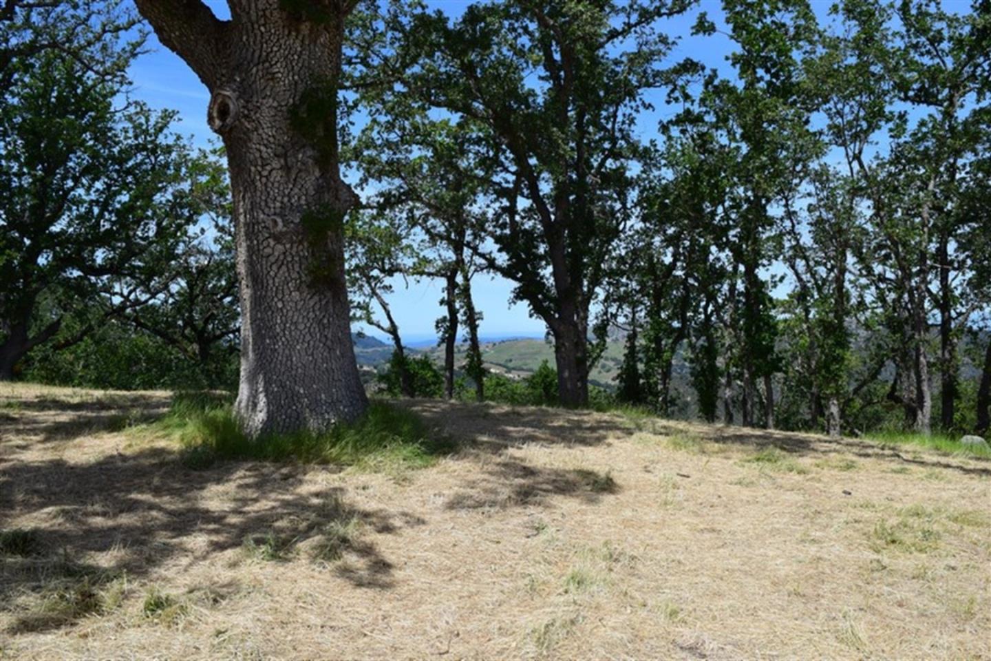 13 Long Ridge Trail, CARMEL, California 93923, ,Lots And Land,For Sale,Long Ridge Trail,40963599