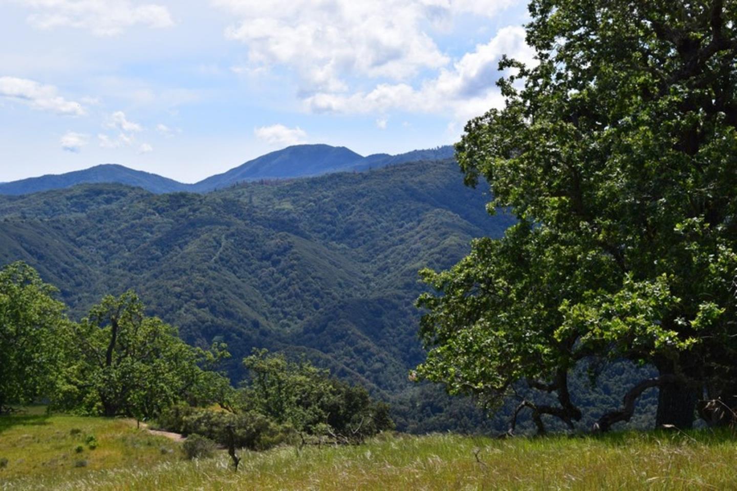 13 Long Ridge Trail, CARMEL, California 93923, ,Lots And Land,For Sale,Long Ridge Trail,40963599