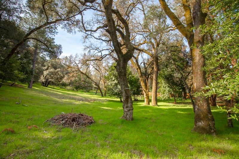 Lot 13/12 East Zayante Road, FELTON, California 95018, ,Lots And Land,For Sale,East Zayante Road,40965446