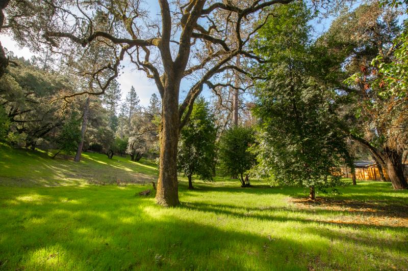 Lot 13/12 East Zayante Road, FELTON, California 95018, ,Lots And Land,For Sale,East Zayante Road,40965446