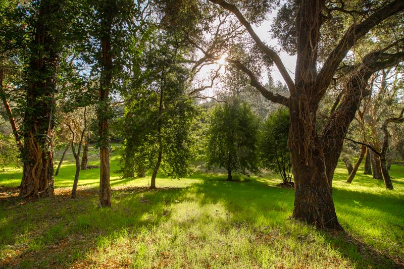 Lot 13/12 East Zayante Road, FELTON, California 95018, ,Lots And Land,For Sale,East Zayante Road,40965446