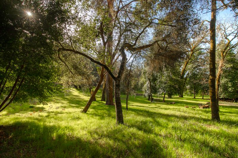 Lot 13/12 East Zayante Road, FELTON, California 95018, ,Lots And Land,For Sale,East Zayante Road,40965446