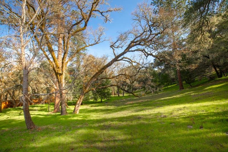 Lot 13/12 East Zayante Road, FELTON, California 95018, ,Lots And Land,For Sale,East Zayante Road,40965446