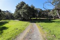 14521 Quito Road, SARATOGA, California 95070, ,Lots And Land,For Sale,Quito Road,40962197