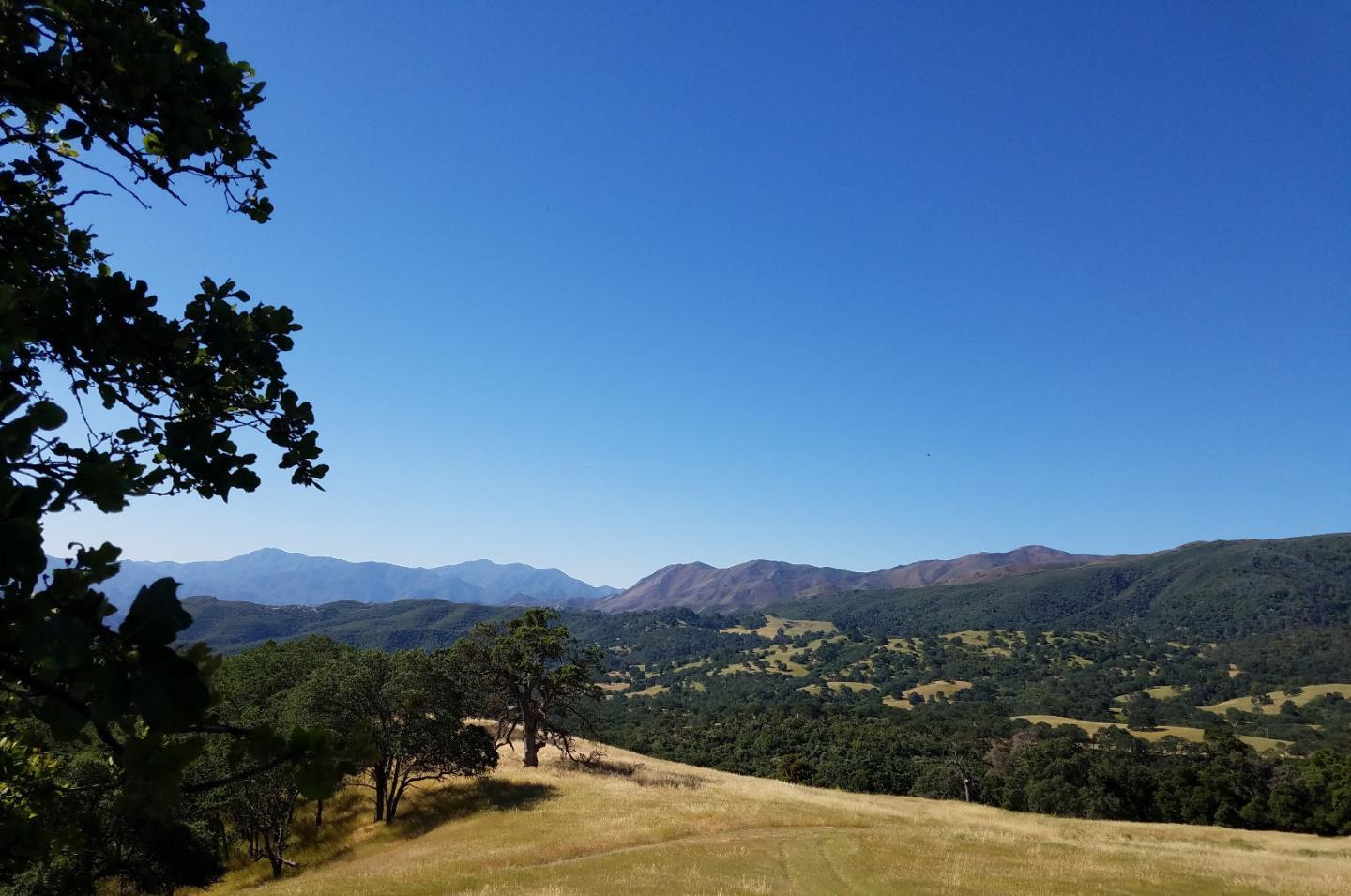 0 EAST CARMEL VALLEY ROAD, CARMEL VALLEY, California 93924, ,Lots And Land,For Sale,EAST CARMEL VALLEY ROAD,40962170