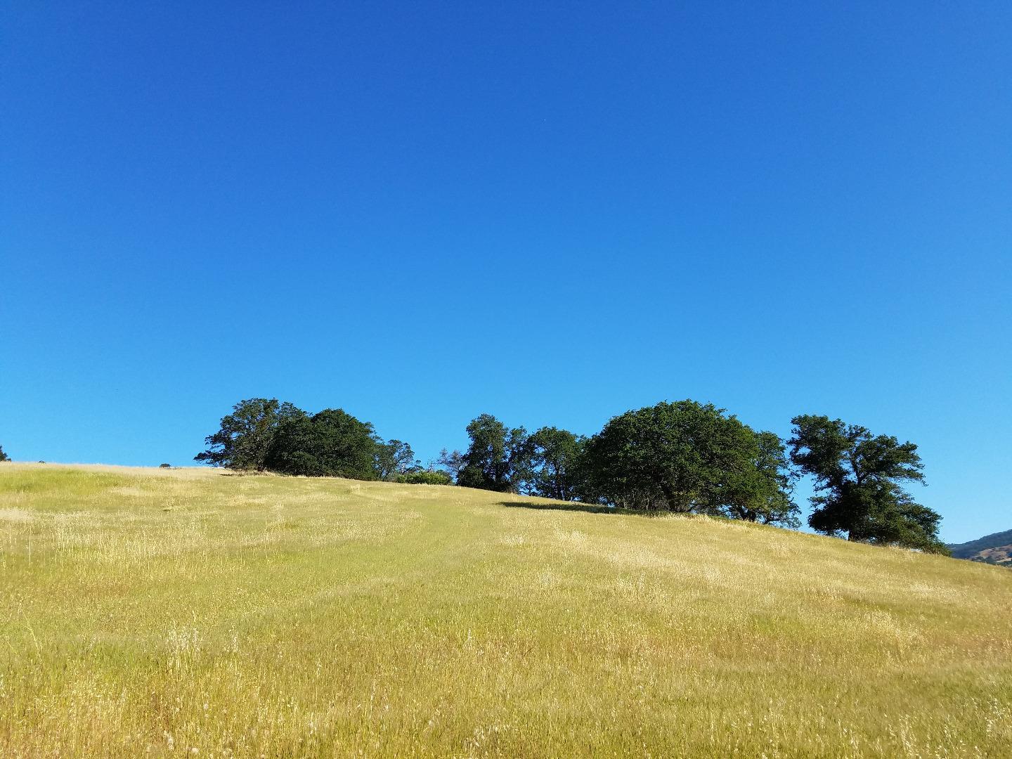 0 EAST CARMEL VALLEY ROAD, CARMEL VALLEY, California 93924, ,Lots And Land,For Sale,EAST CARMEL VALLEY ROAD,40962170