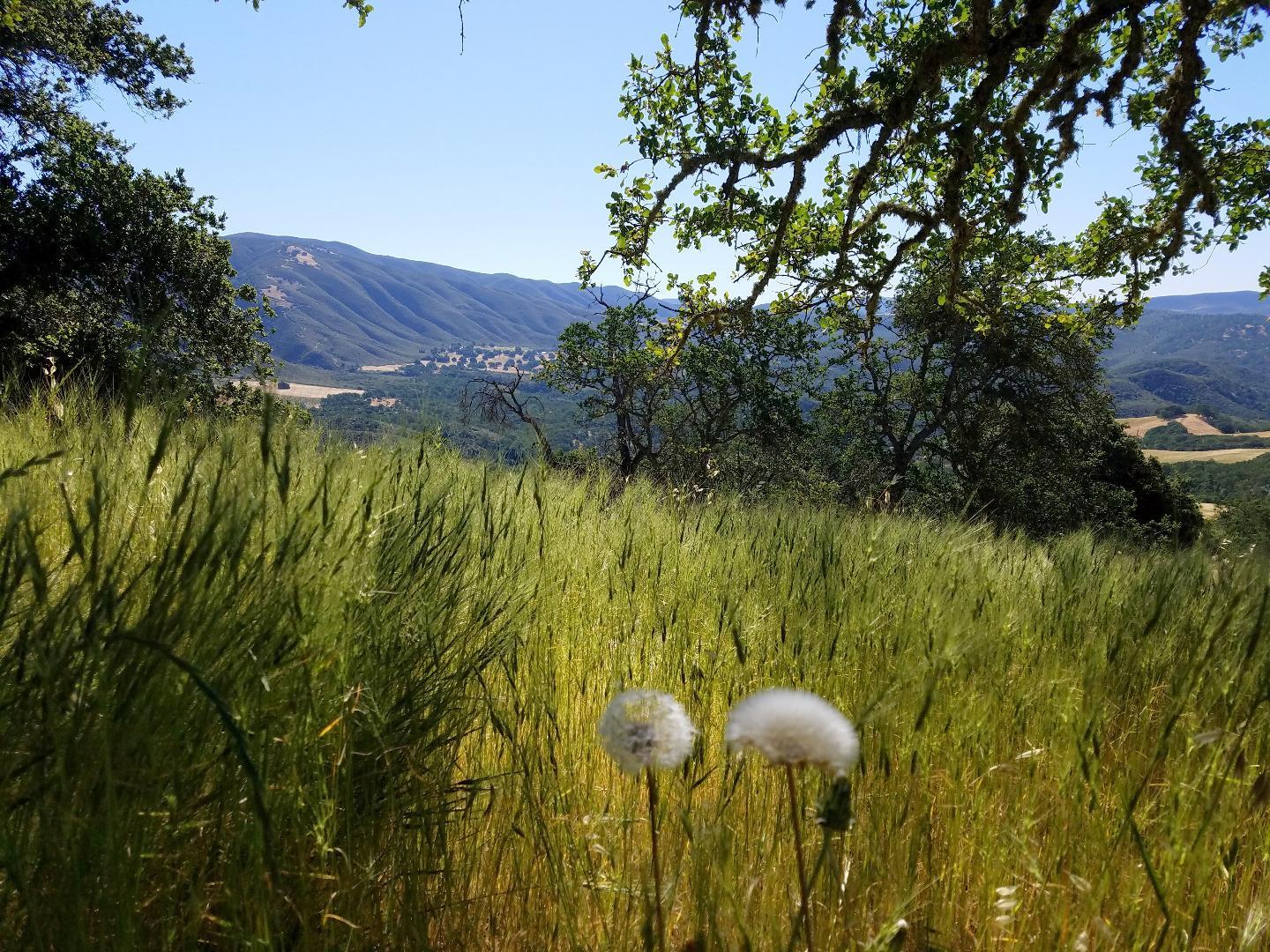 0 EAST CARMEL VALLEY ROAD, CARMEL VALLEY, California 93924, ,Lots And Land,For Sale,EAST CARMEL VALLEY ROAD,40962170