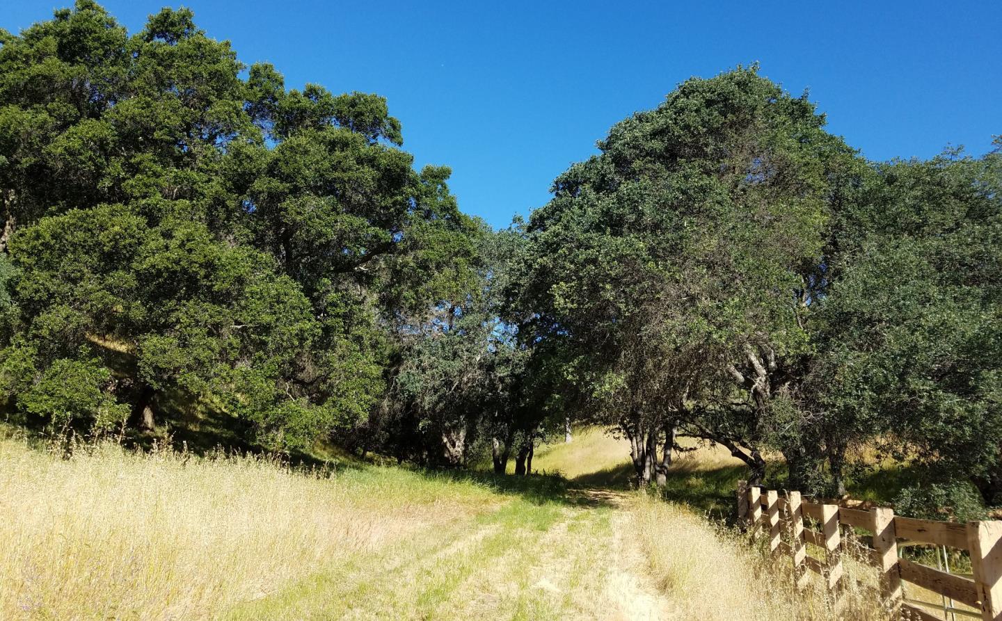 0 EAST CARMEL VALLEY ROAD, CARMEL VALLEY, California 93924, ,Lots And Land,For Sale,EAST CARMEL VALLEY ROAD,40962170