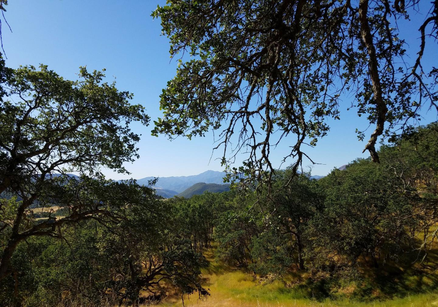 0 EAST CARMEL VALLEY ROAD, CARMEL VALLEY, California 93924, ,Lots And Land,For Sale,EAST CARMEL VALLEY ROAD,40962170